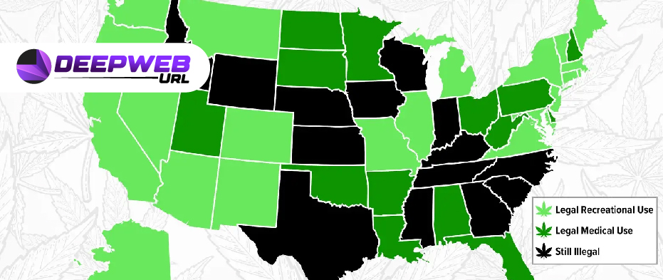 Before Choosing a Darknet Marketplace of cannabis wiki